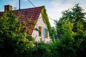 Einfamilienhaus
